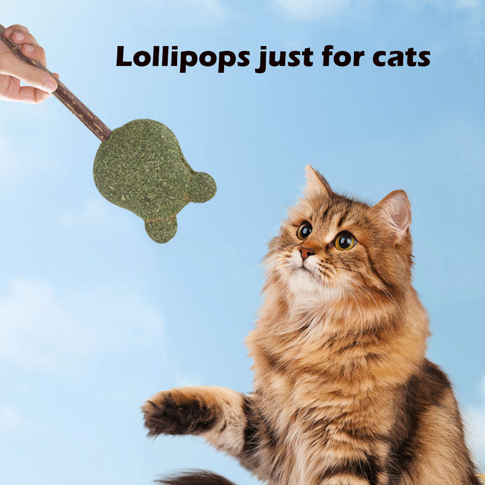 Mint Catnip Dental Chew Stick – Natural Silvervine Teething & Breath Freshening Cat Toy