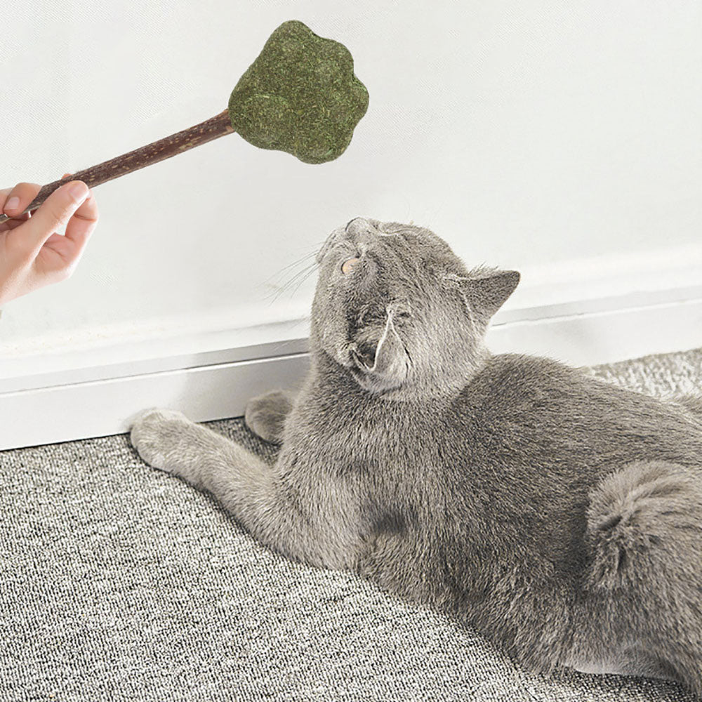 Mint Catnip Dental Chew Stick – Natural Silvervine Teething & Breath Freshening Cat Toy