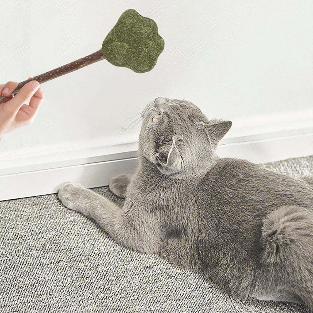 Mint Catnip Dental Chew Stick – Natural Silvervine Teething & Breath Freshening Cat Toy