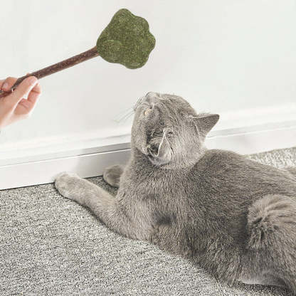 Mint Catnip Dental Chew Stick – Natural Silvervine Teething & Breath Freshening Cat Toy
