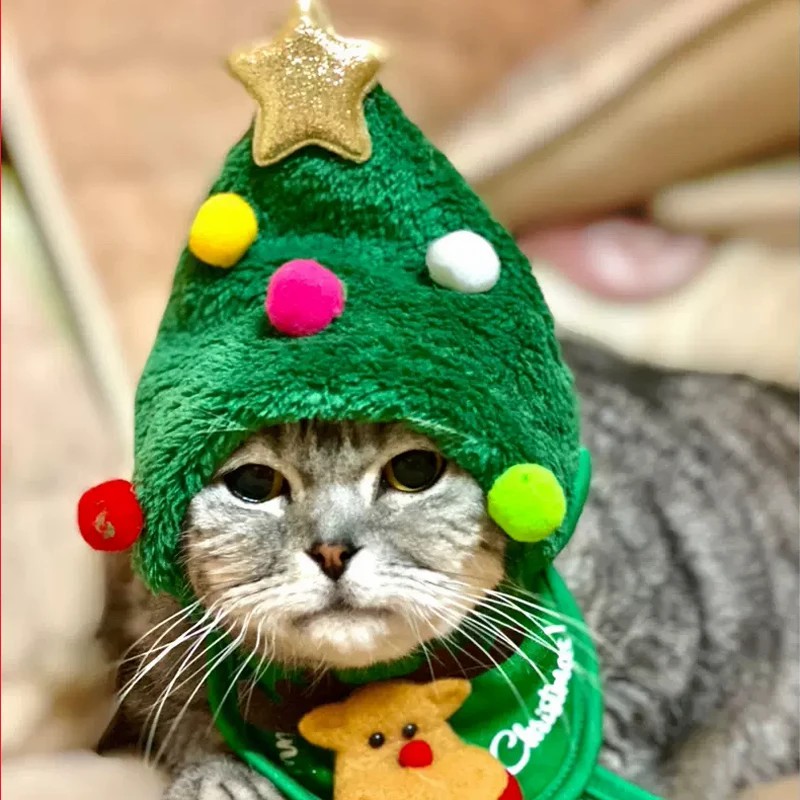 Adorable Christmas Tree Pom-Pom Hat