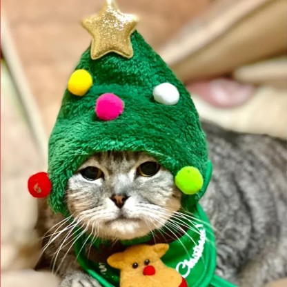 Adorable Christmas Tree Pom-Pom Hat