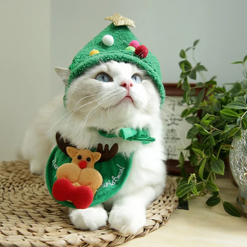 Adorable Christmas Tree Pom-Pom Hat
