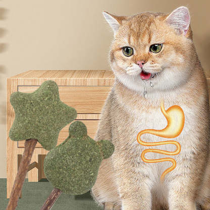 Mint Catnip Dental Chew Stick – Natural Silvervine Teething & Breath Freshening Cat Toy