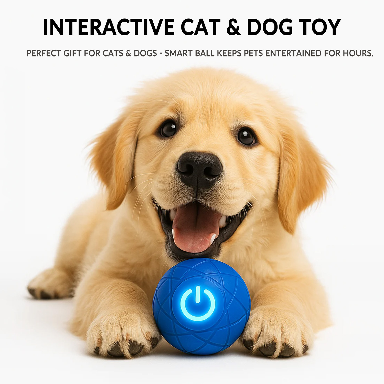 Pet Bounce Ball for Cats & Dogs