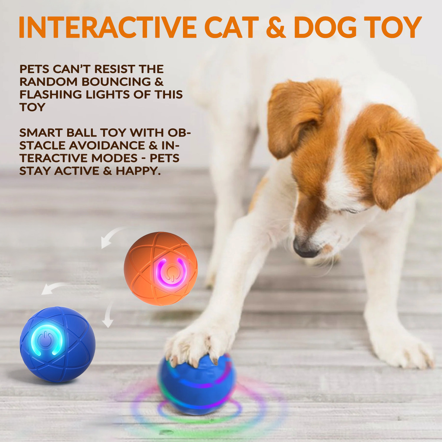 Pet Bounce Ball for Cats & Dogs