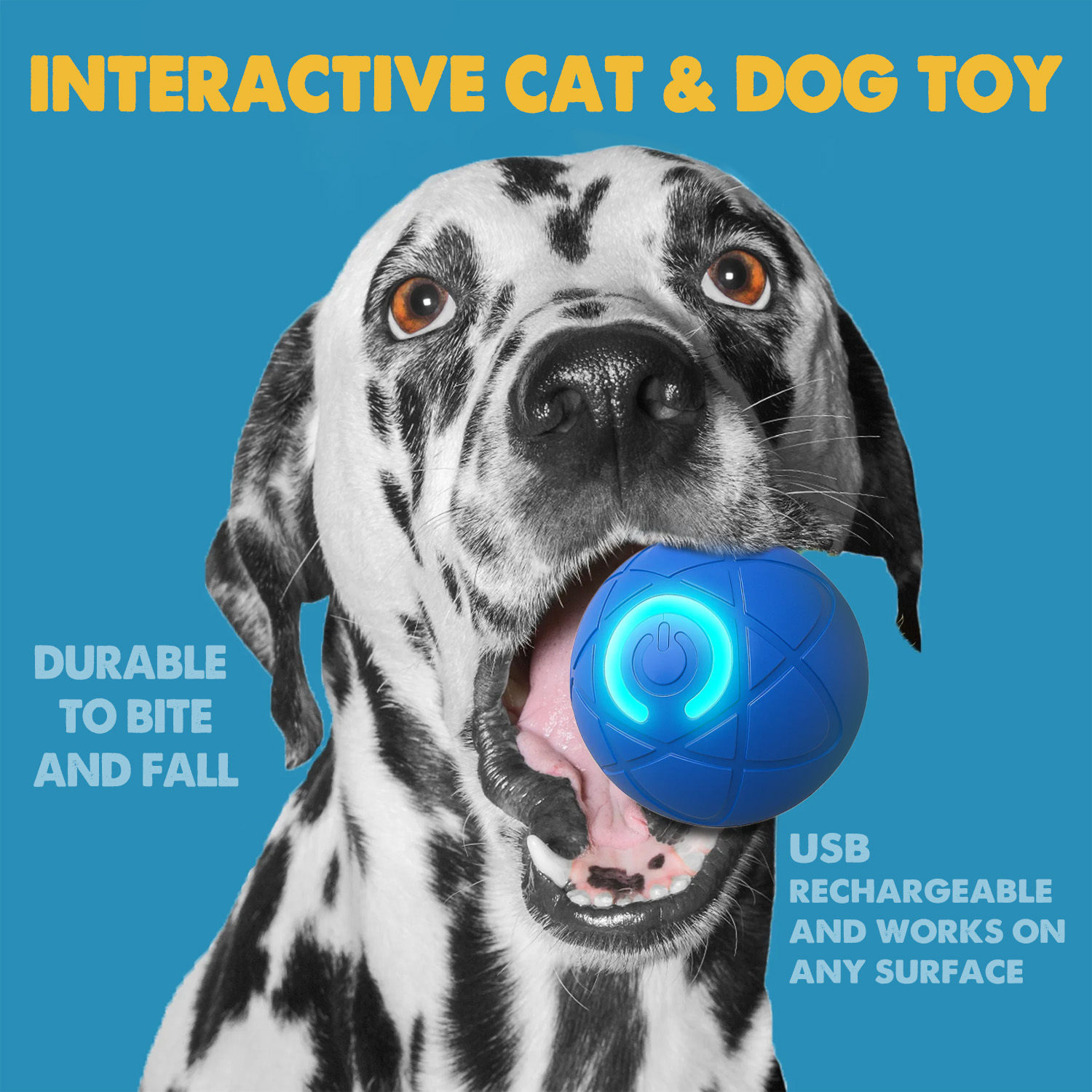 Pet Bounce Ball for Cats & Dogs