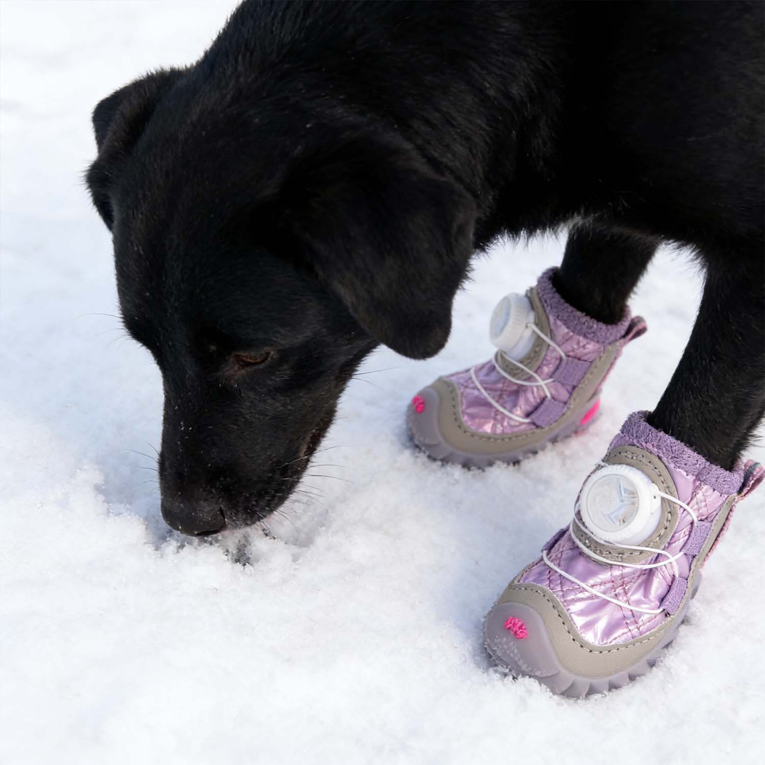 Fleece-Lined Winter Dog Shoes With Dial Fit System - 4-Pack