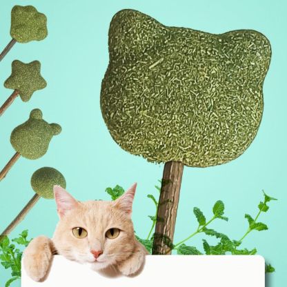 Mint Catnip Dental Chew Stick – Natural Silvervine Teething & Breath Freshening Cat Toy