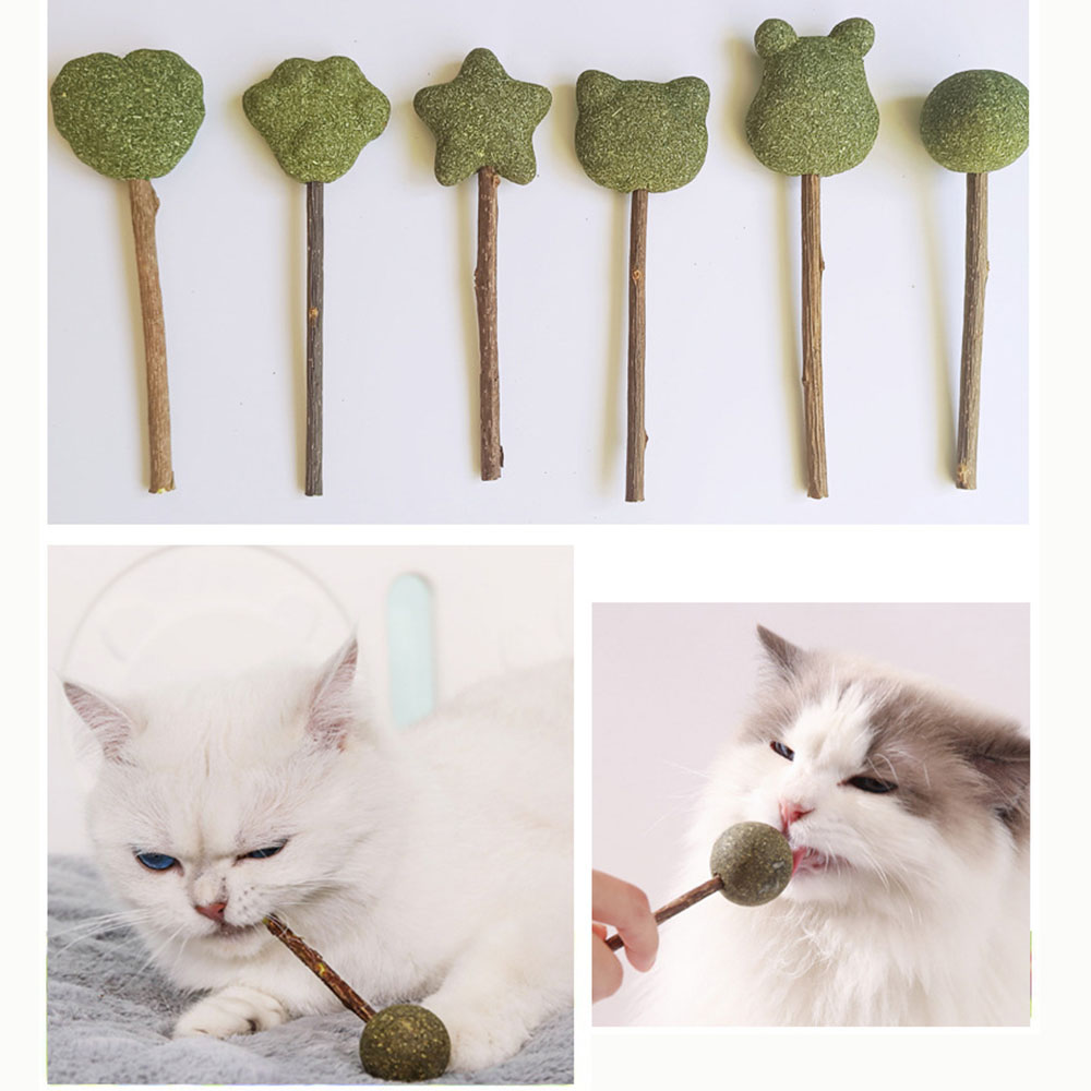 Mint Catnip Dental Chew Stick – Natural Silvervine Teething & Breath Freshening Cat Toy