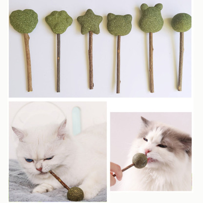 Mint Catnip Dental Chew Stick – Natural Silvervine Teething & Breath Freshening Cat Toy
