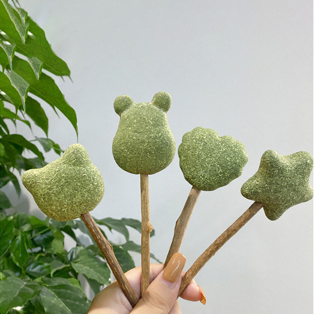 Mint Catnip Dental Chew Stick – Natural Silvervine Teething & Breath Freshening Cat Toy