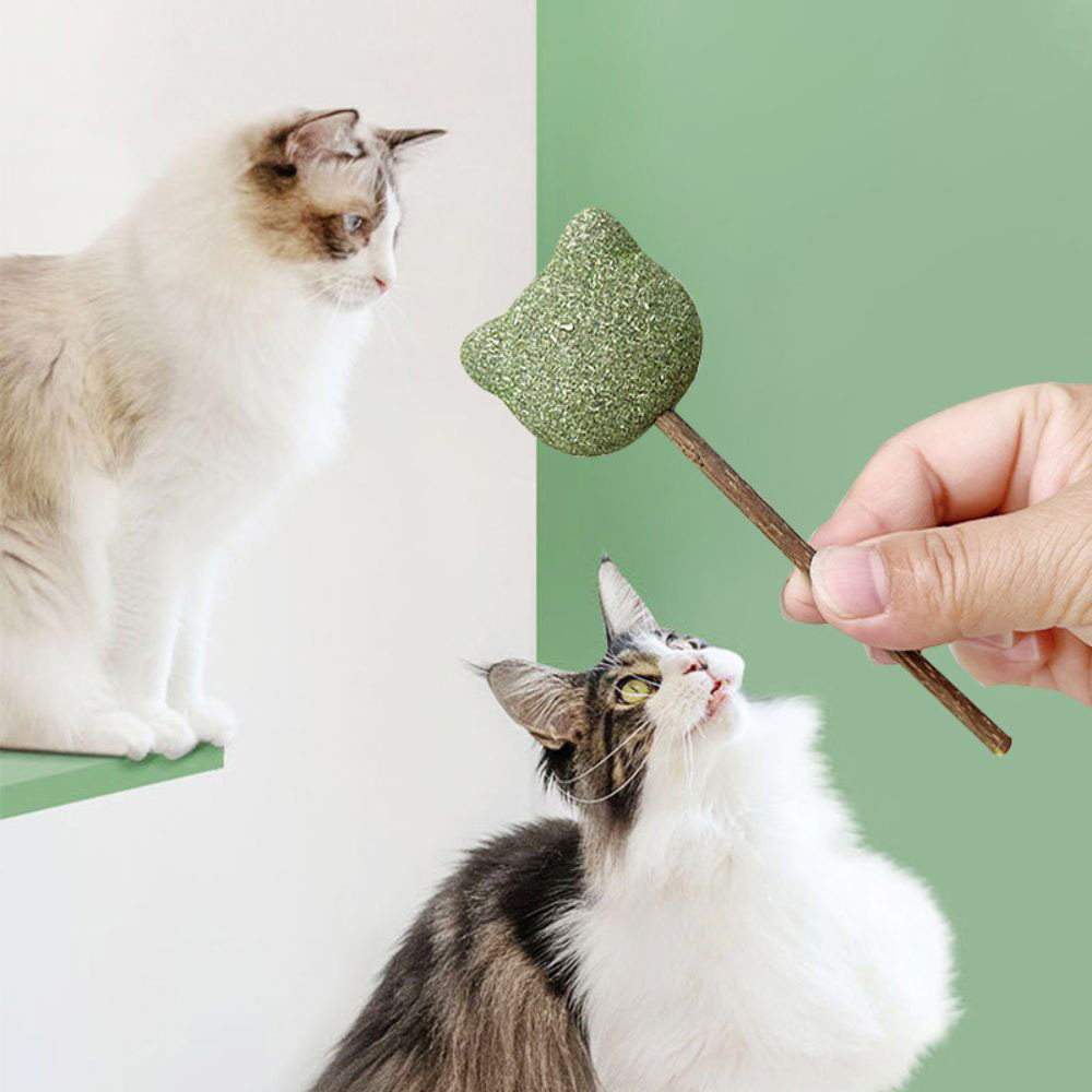 Mint Catnip Dental Chew Stick – Natural Silvervine Teething & Breath Freshening Cat Toy