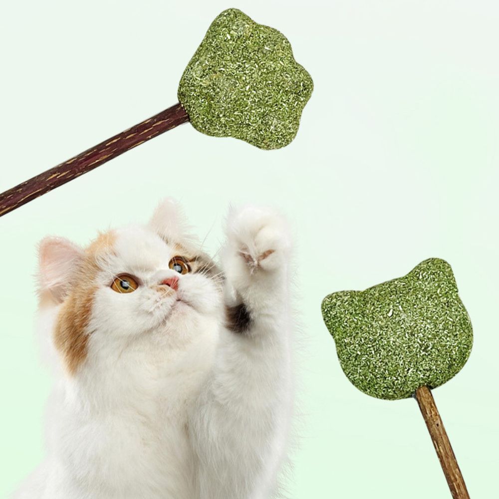 Mint Catnip Dental Chew Stick – Natural Silvervine Teething & Breath Freshening Cat Toy