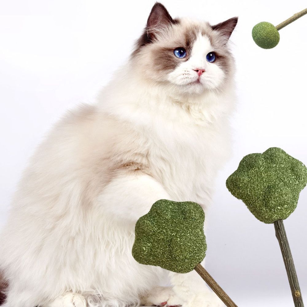 Mint Catnip Dental Chew Stick – Natural Silvervine Teething & Breath Freshening Cat Toy