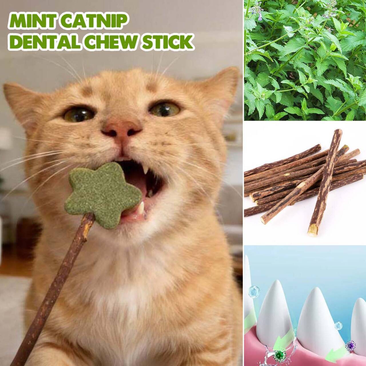 Mint Catnip Dental Chew Stick – Natural Silvervine Teething & Breath F