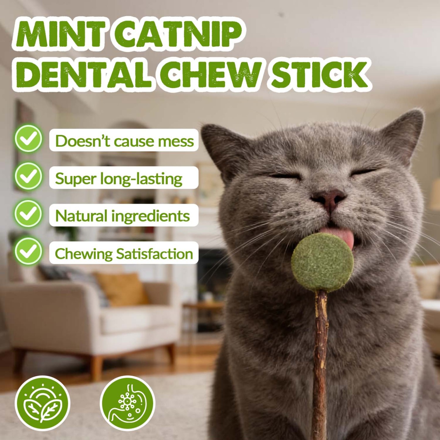 Mint Catnip Dental Chew Stick – Natural Silvervine Teething & Breath Freshening Cat Toy