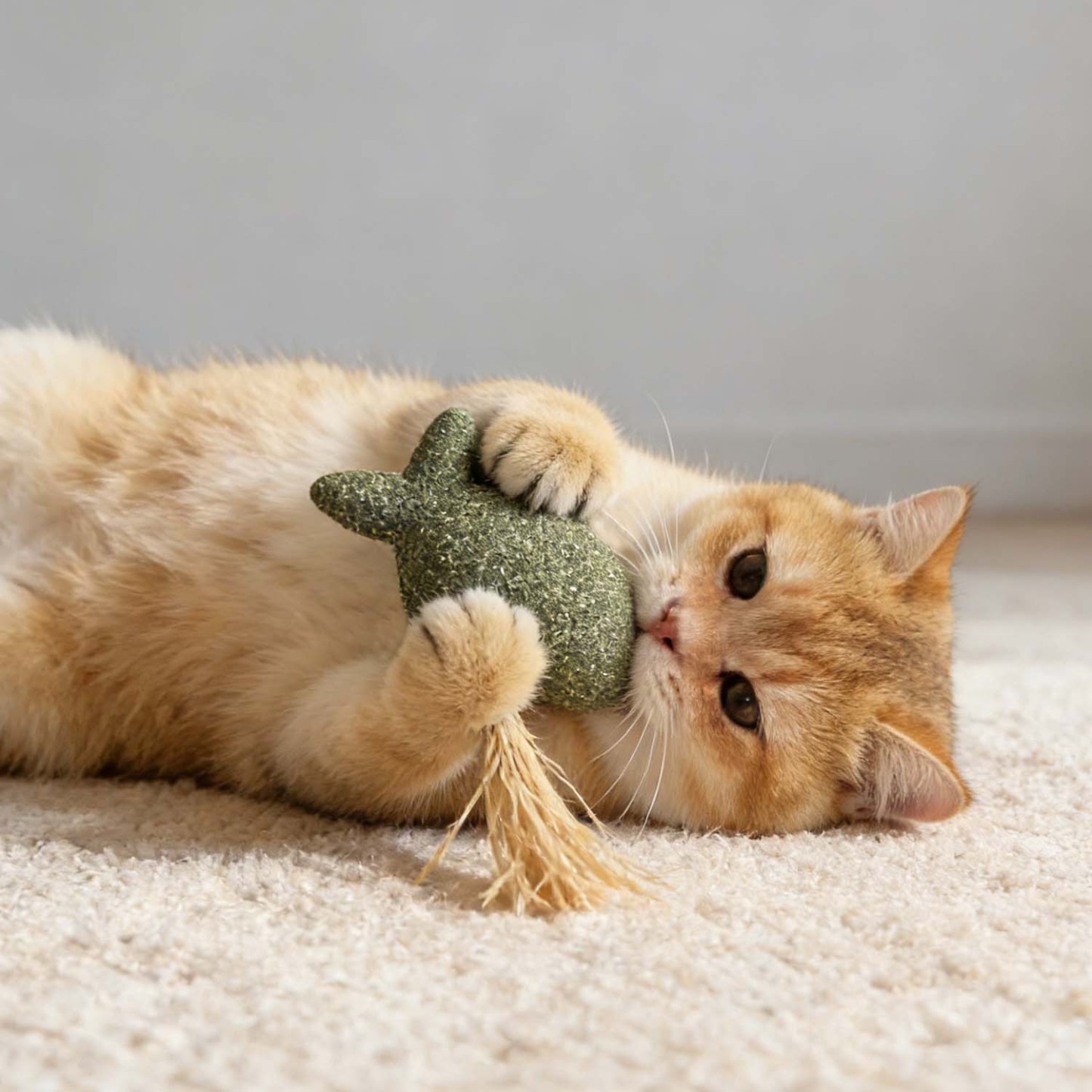 Raffia Catnip Chew Toy – Natural Handmade Play Toy For Cats