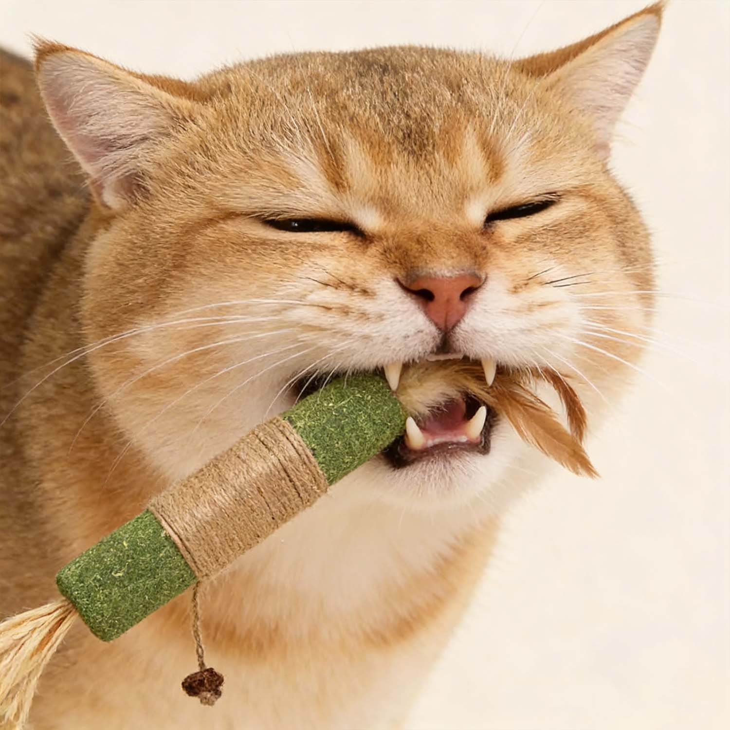 Jumbo Giant Catnip Stick Toy – Extra Large For Cats