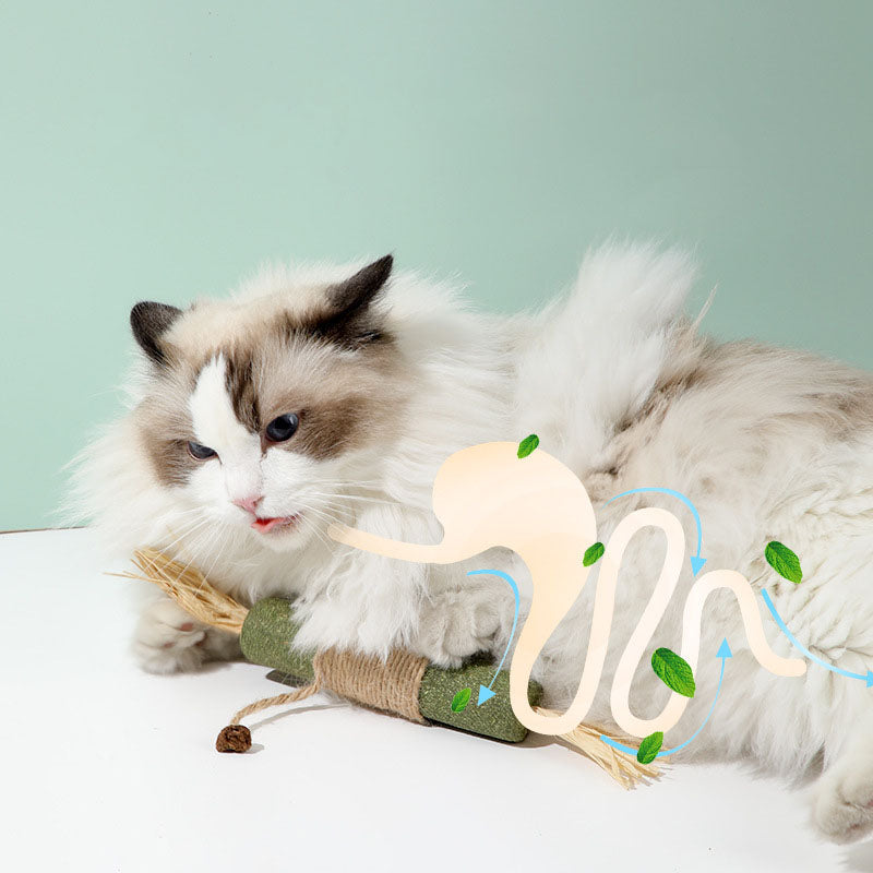 Jumbo Giant Catnip Stick Toy – Extra Large For Cats