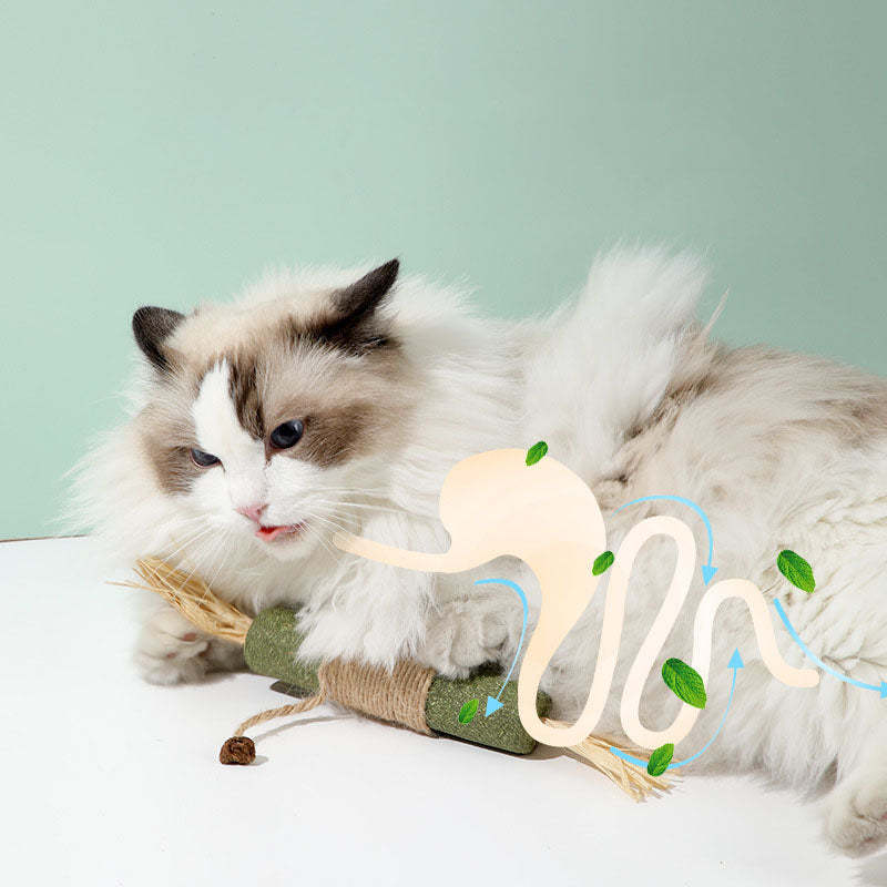 Jumbo Giant Catnip Stick Toy – Extra Large For Cats