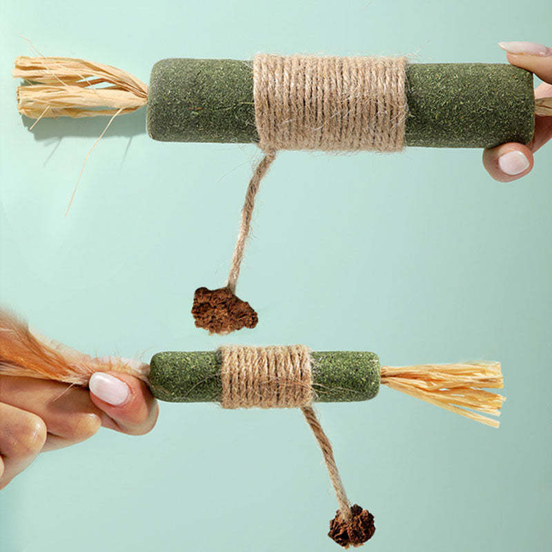 Jumbo Giant Catnip Stick Toy – Extra Large For Cats