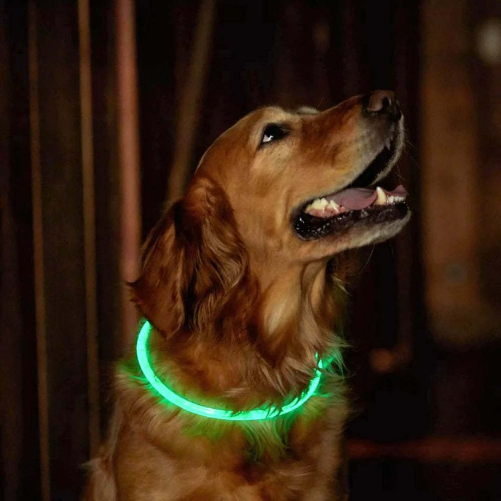 USB Rechargeable Fiber Optic LED Pet Collar