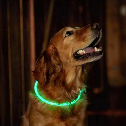 USB Rechargeable Fiber Optic LED Pet Collar