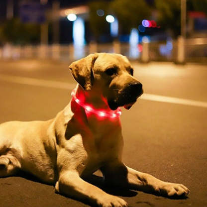 USB Rechargeable Fiber Optic LED Pet Collar