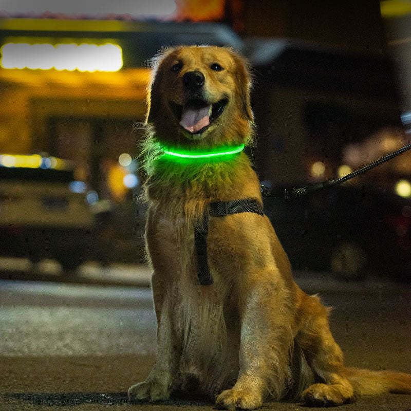 USB Rechargeable Fiber Optic LED Pet Collar