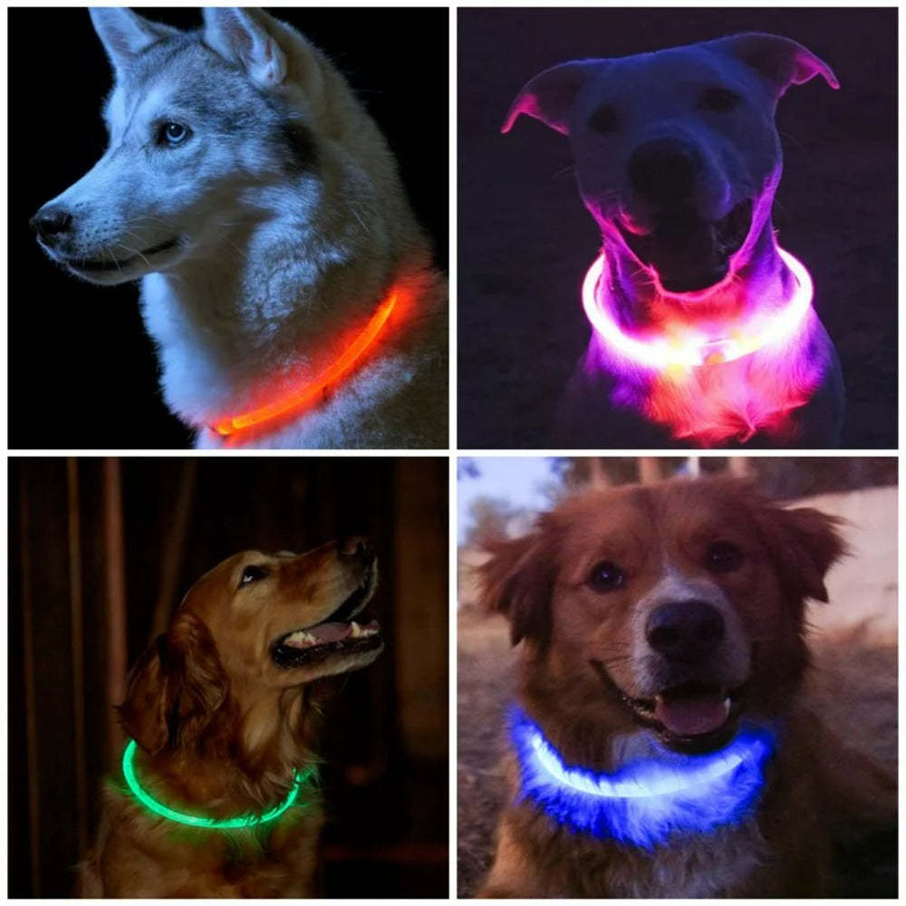 USB Rechargeable Fiber Optic LED Pet Collar