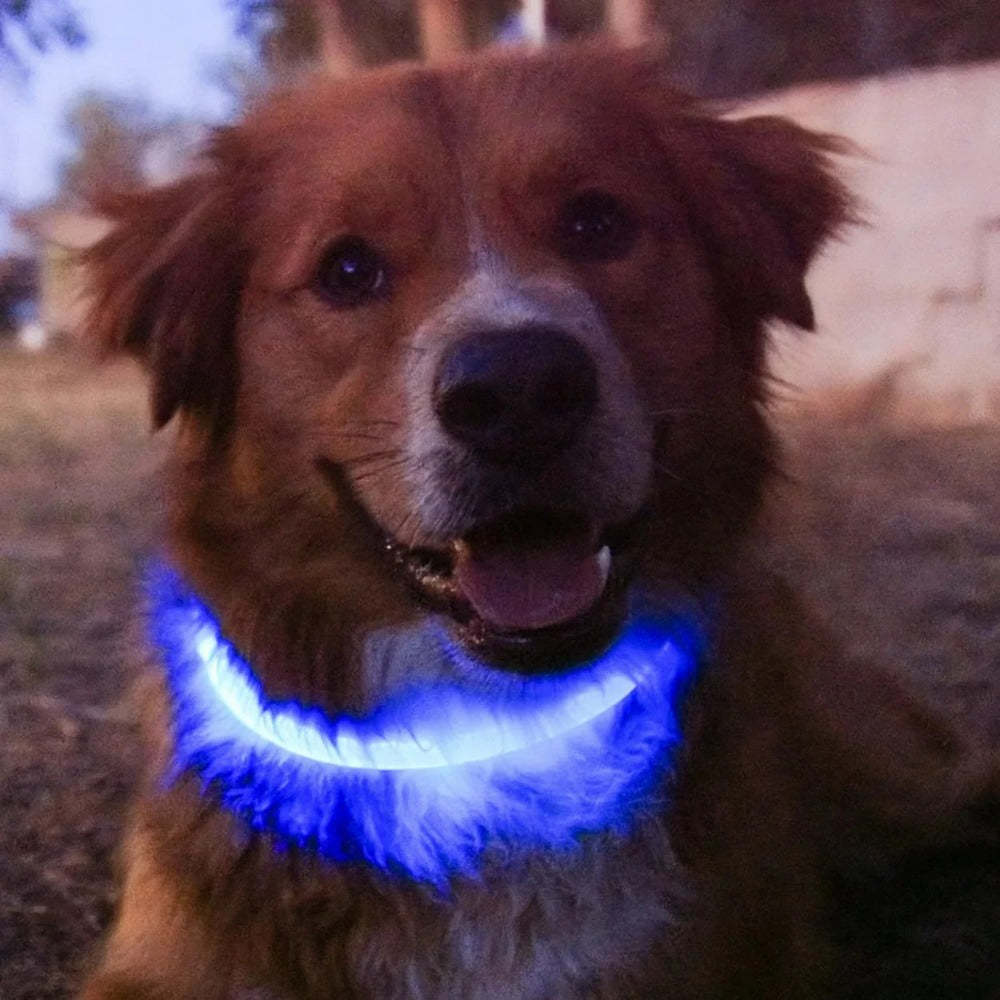 USB Rechargeable Fiber Optic LED Pet Collar