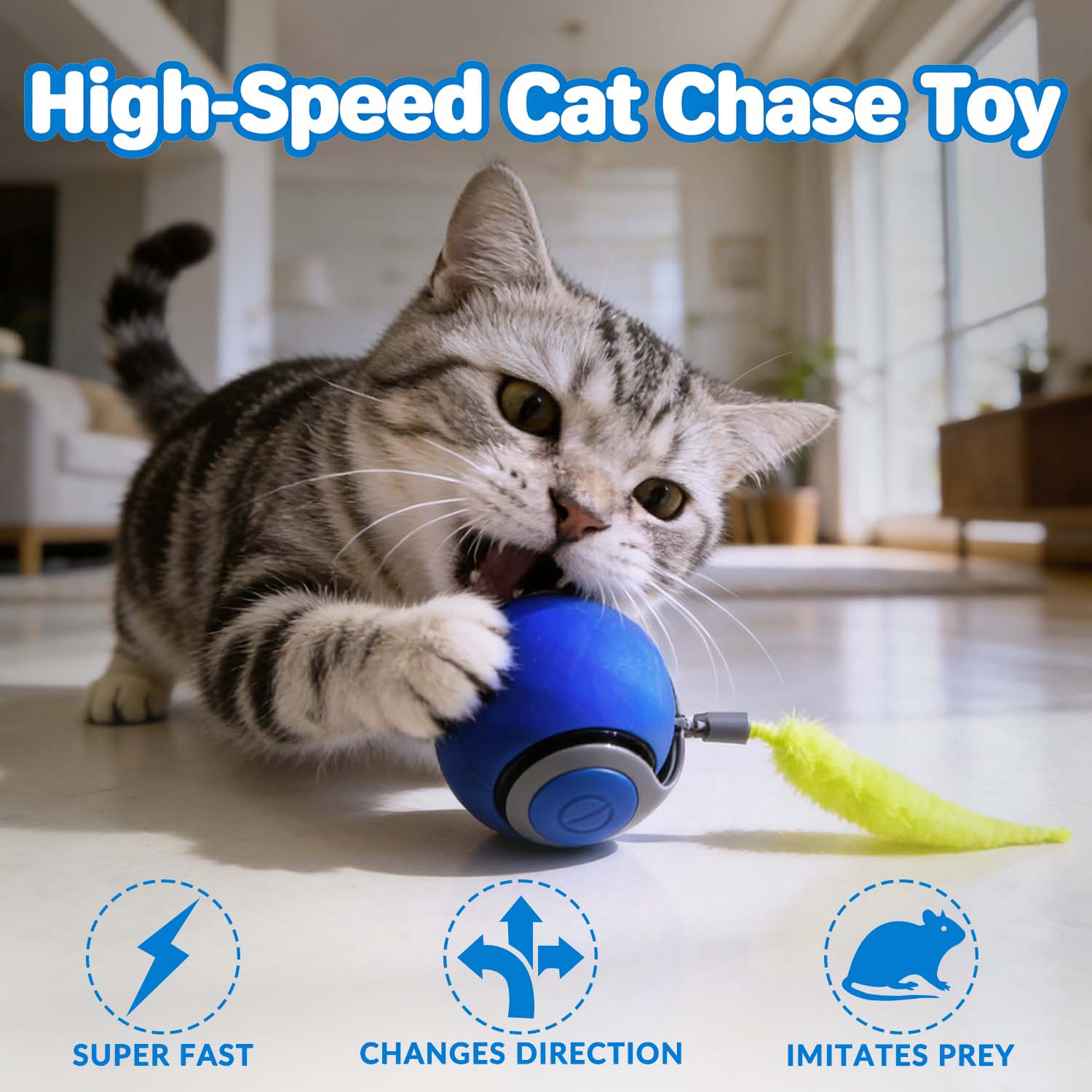 Speedy Tail 2.0 - The New King of Interactive Ball Toys