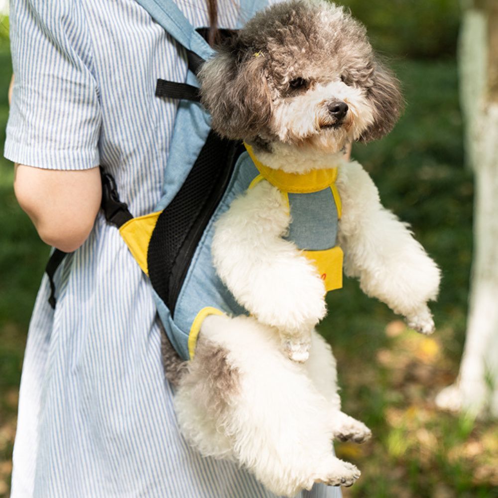 Pet Front Carrier Bag