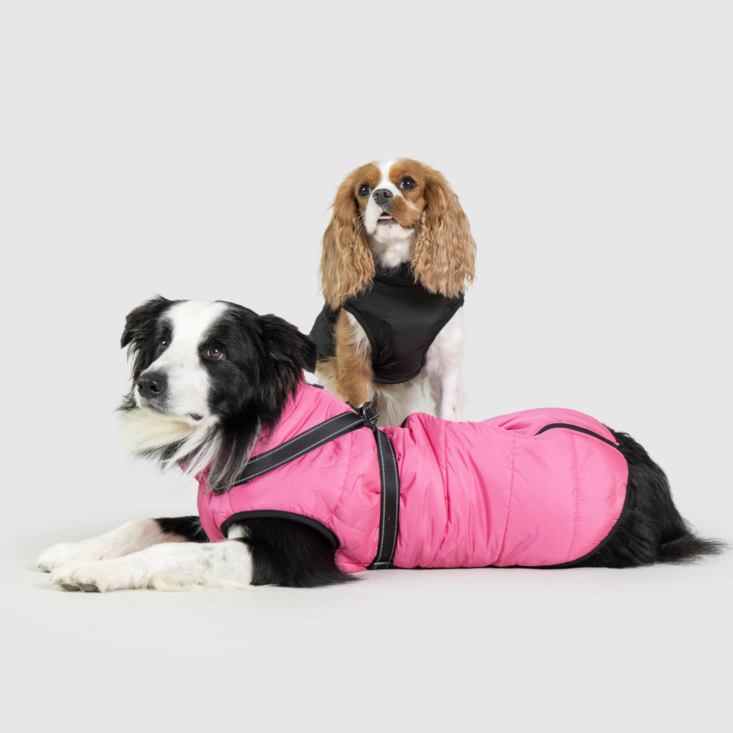 Waterproof Pet Jacket with Built-in Harness, Fleece Lining & Reflective Design