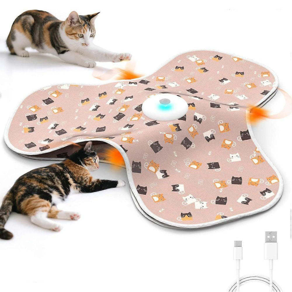 Smart Interactive Cat Hunting Mat – Hide & Seek Play Toy