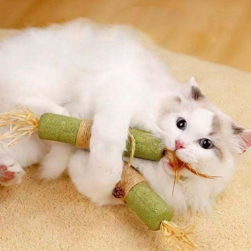 Jumbo Giant Catnip Stick Toy – Extra Large For Cats