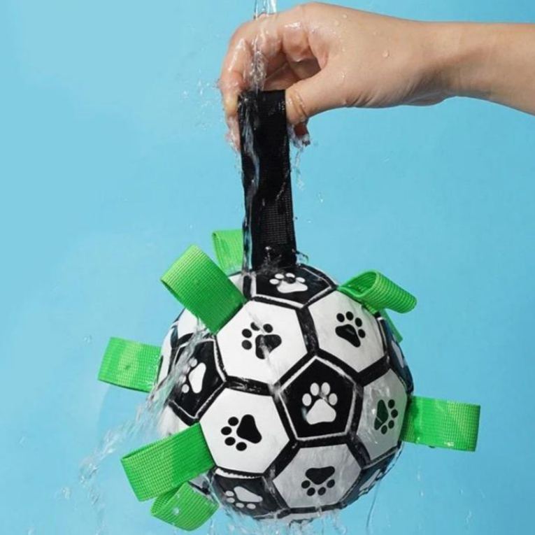 Interactive Football Dog Toy