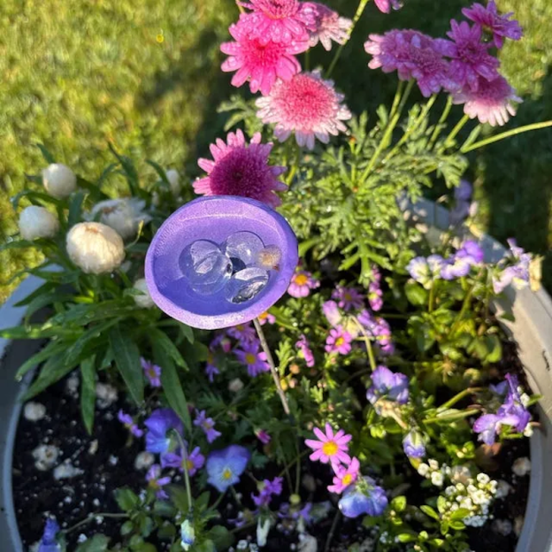 Bee Watering Station, Butterfly Puddler, Hummingbird Drinking Cups