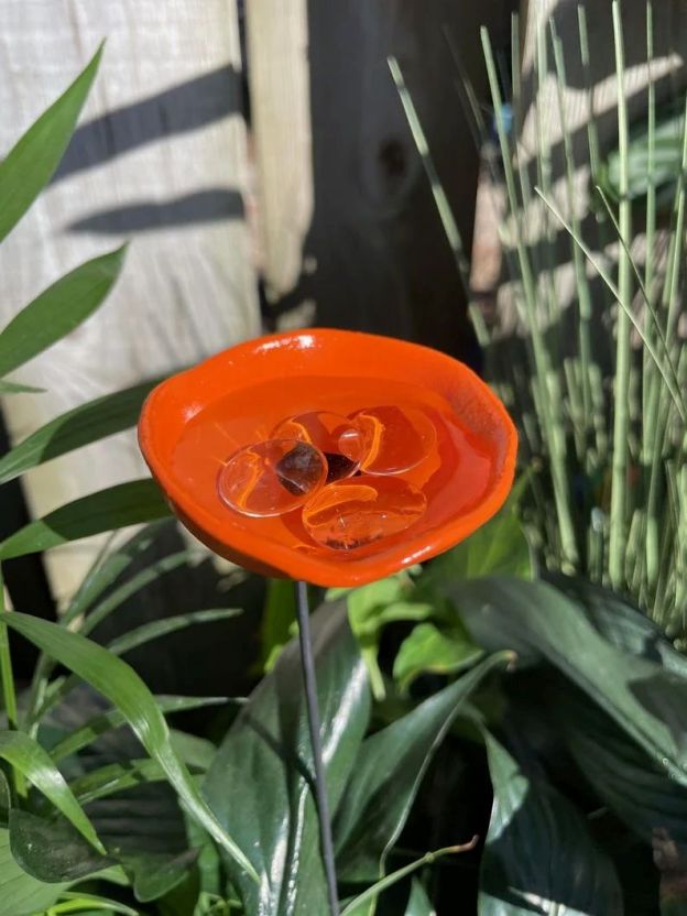 Bee Watering Station, Butterfly Puddler, Hummingbird Drinking Cups