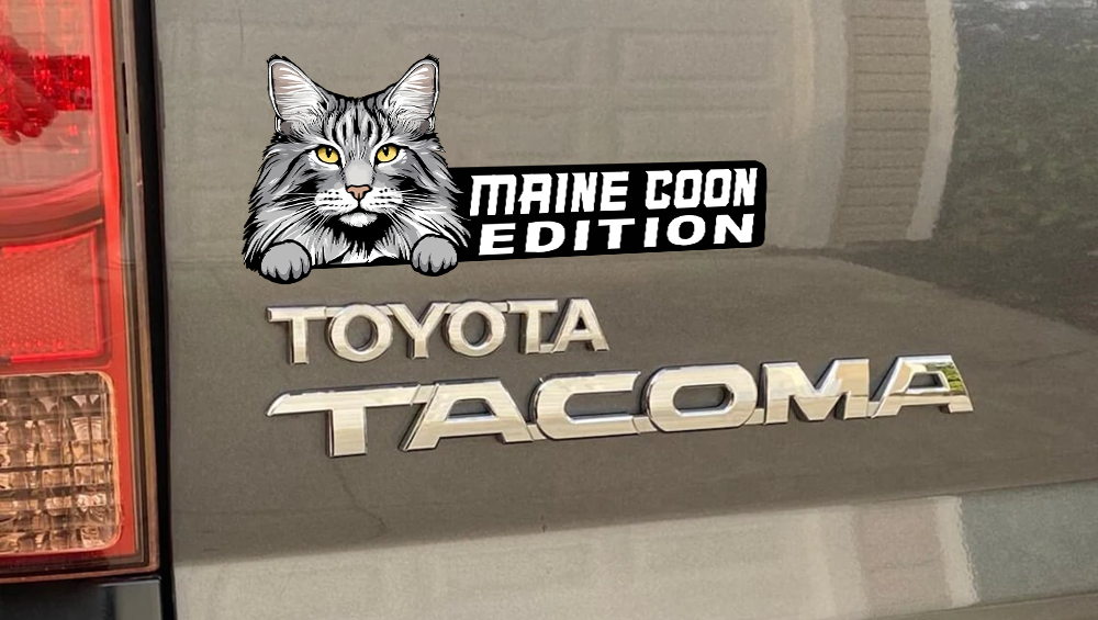 Maine Coon Cat Car Badge Laser Cutting Car Emblem CE183