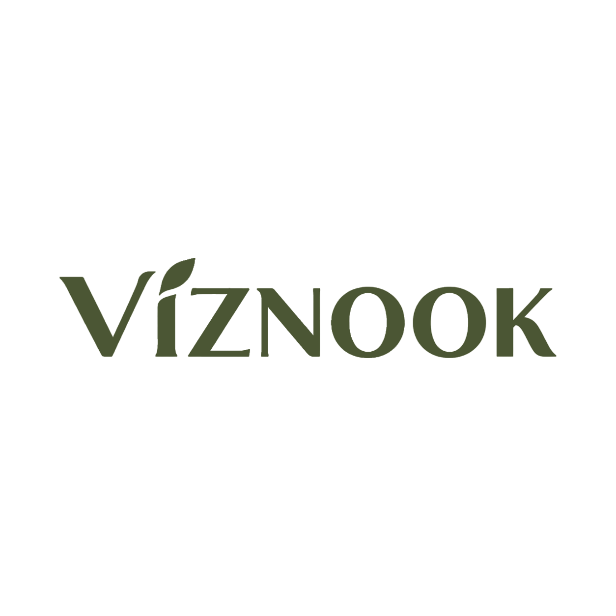 Viznook