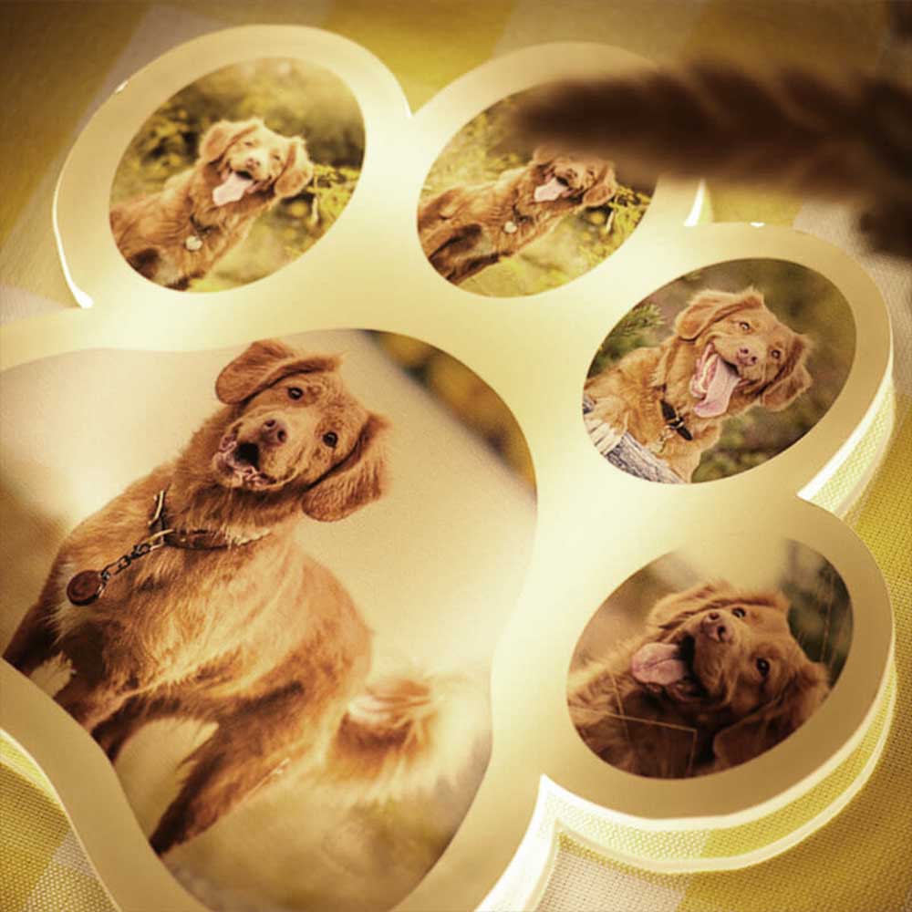 Dog Paw Night Light Personalized 5 Photos 3D Lamp for Family