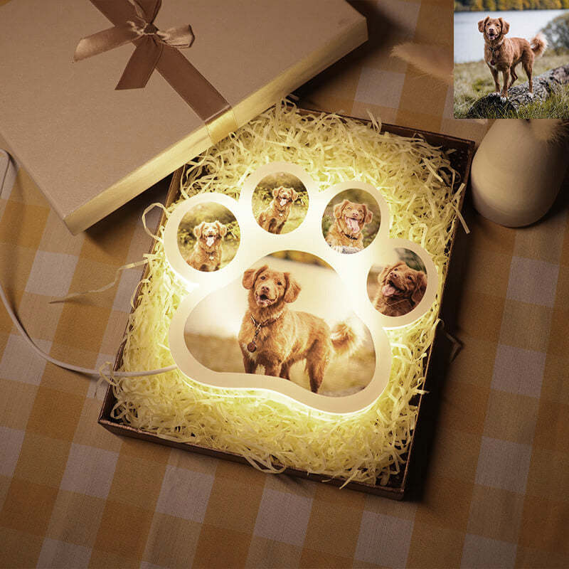 Dog Paw Night Light Personalized 5 Photos 3D Lamp for Family