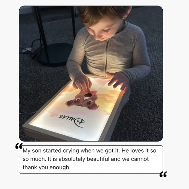 Pet Light Decorative Painting