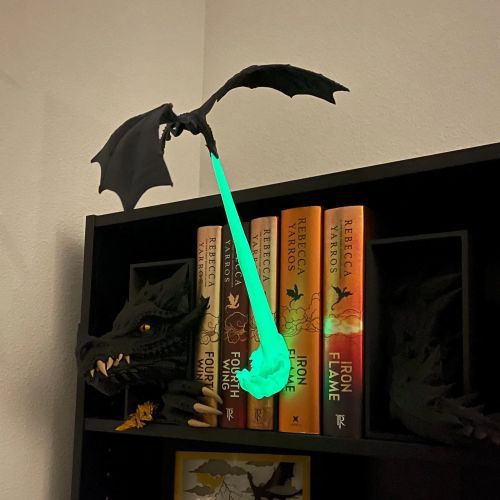 Fire Breathing Dragon Book Nook