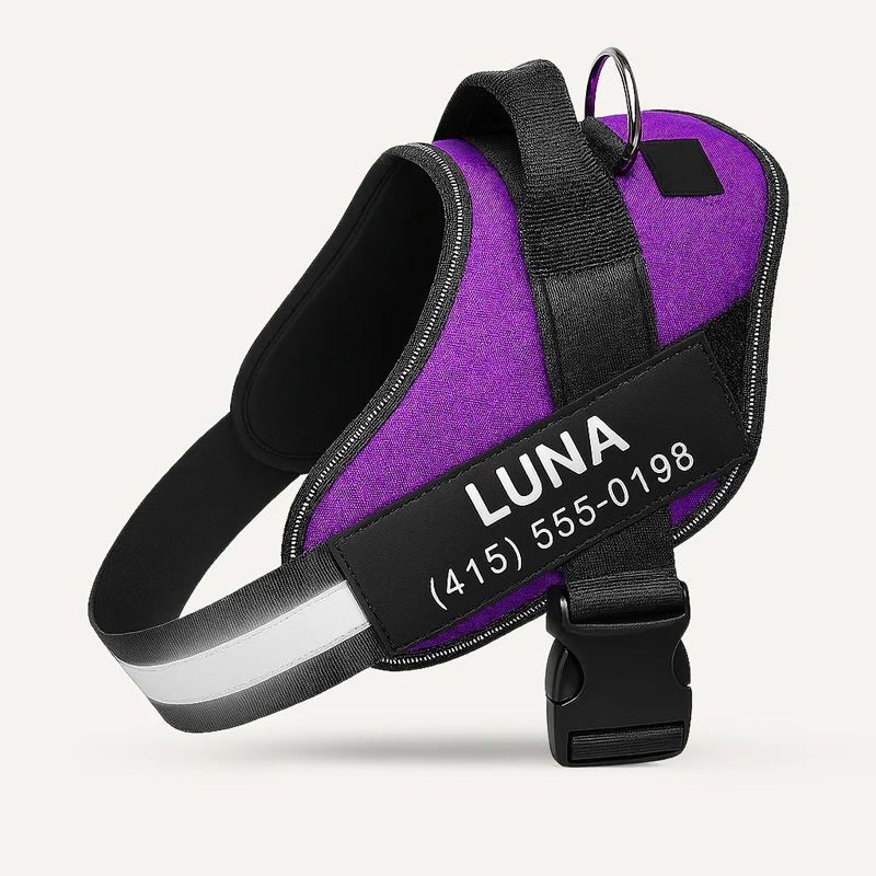 Pet Harness Leash
