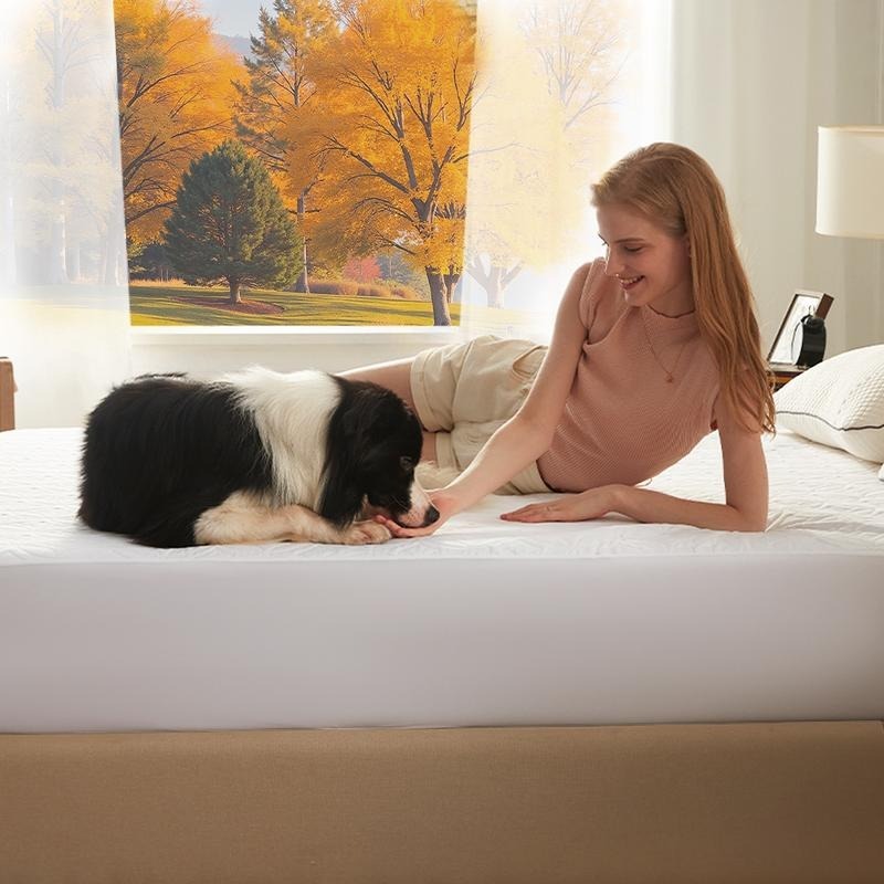 Waterproof Mattress Protector