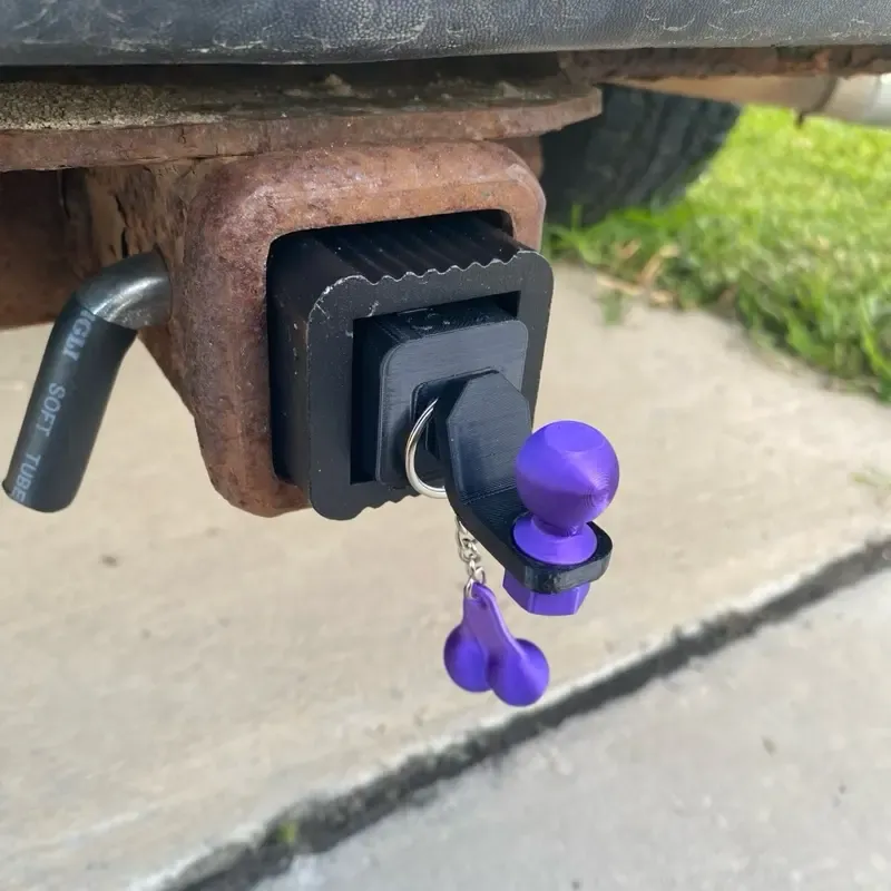 Mini Hook for Receiver