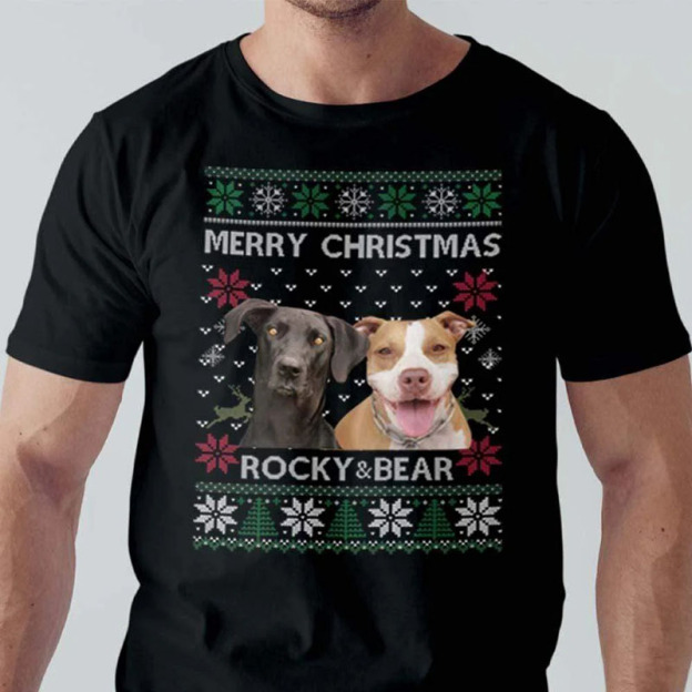 Custom Pet Photo Christmas Sweatshirt
